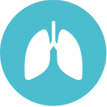 Lungs icon